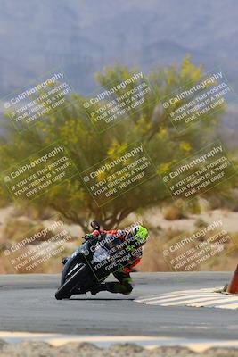 media/Apr-10-2022-SoCal Trackdays (Sun) [[f104b12566]]/Turn 5 Tree of Life (1040am)/